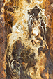 Patina 10